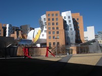Gehry back